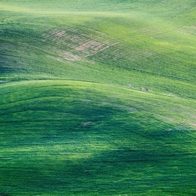 云南昆明西山如何上演绿色发展“变形计”？