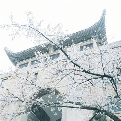 云南发布10条铸牢中华民族共同体意识主题旅游线路